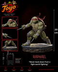 Raphael – The Hothead Warrior Edition